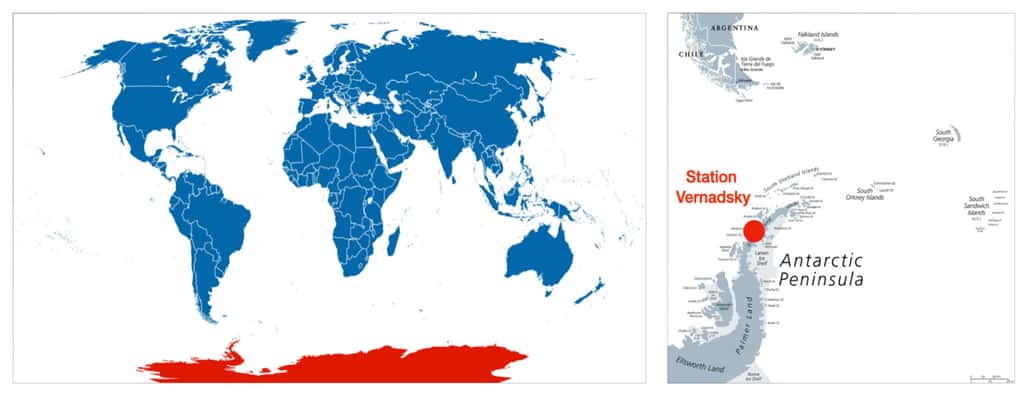 Carte du monde et carte péninsule Antarctique © Peter Hermes Furian, Adobe stock